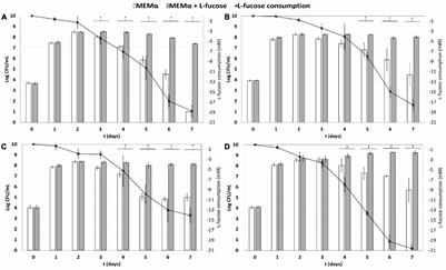 Comparative Analysis of L-Fucose Utilization and Its Impact on Growth and Survival of Campylobacter Isolates